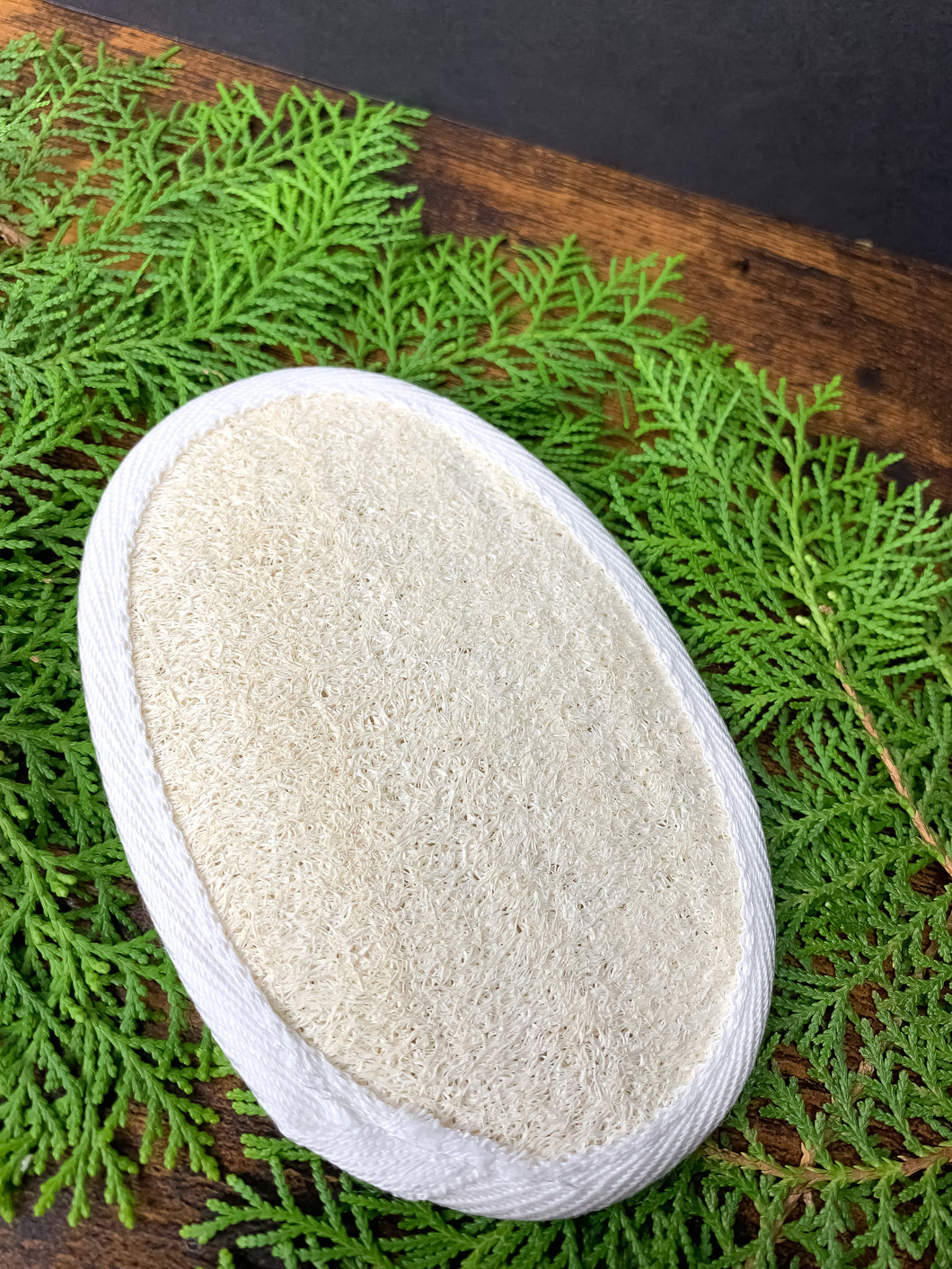 Exfoliating bath brush